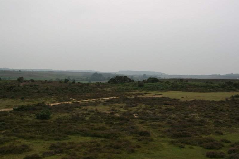 Engeland zuiden (o.a. Stonehenge) - 089